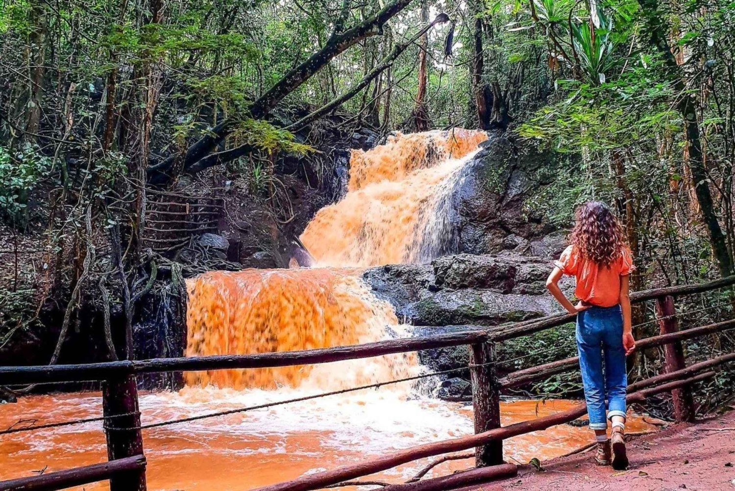 Guided Nature Walk — Nairobi Forest for adventure-outdoors Forest Ecology Guides — event booking Kenya