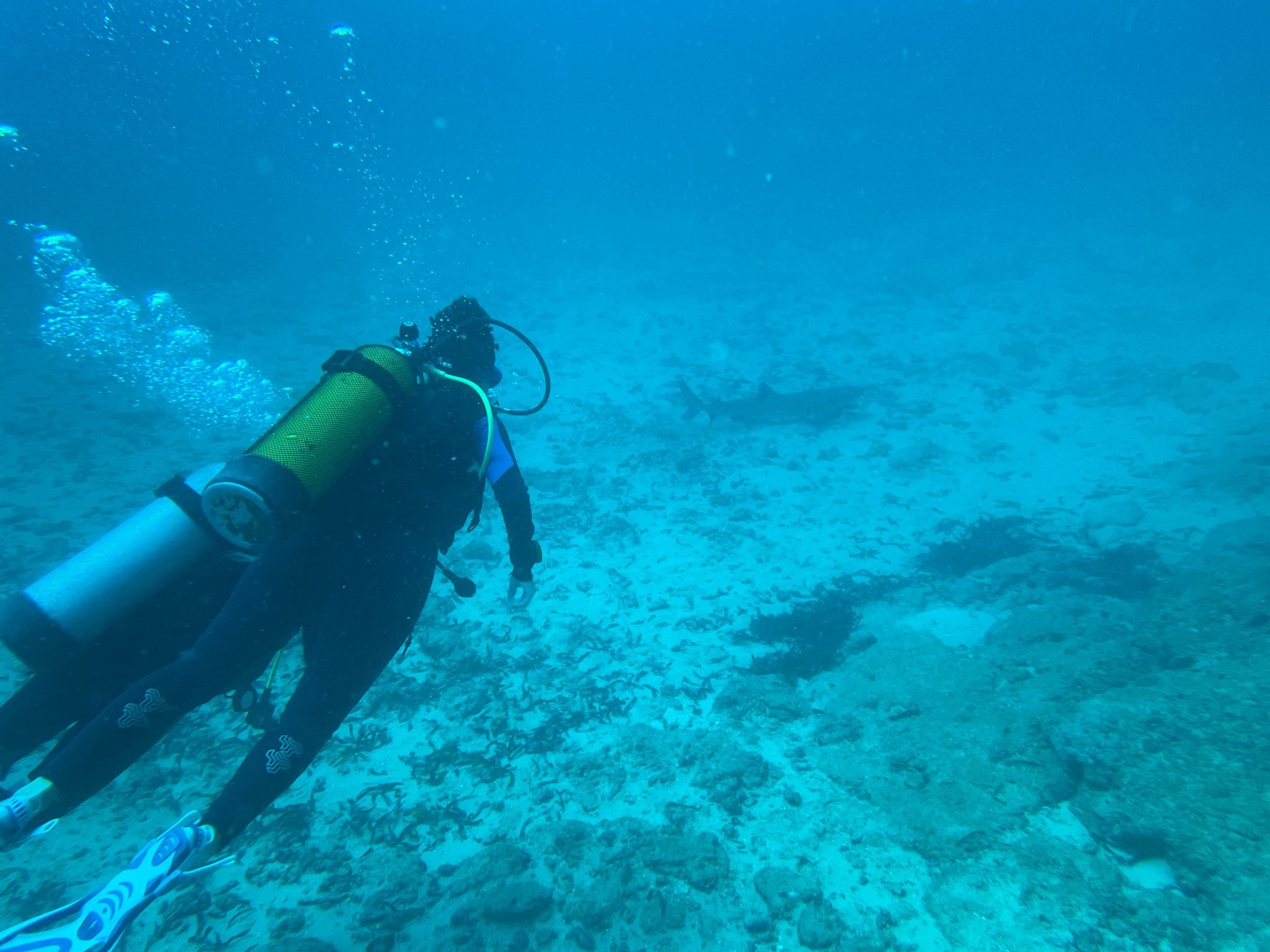 Scuba Diving Certification — Mombasa