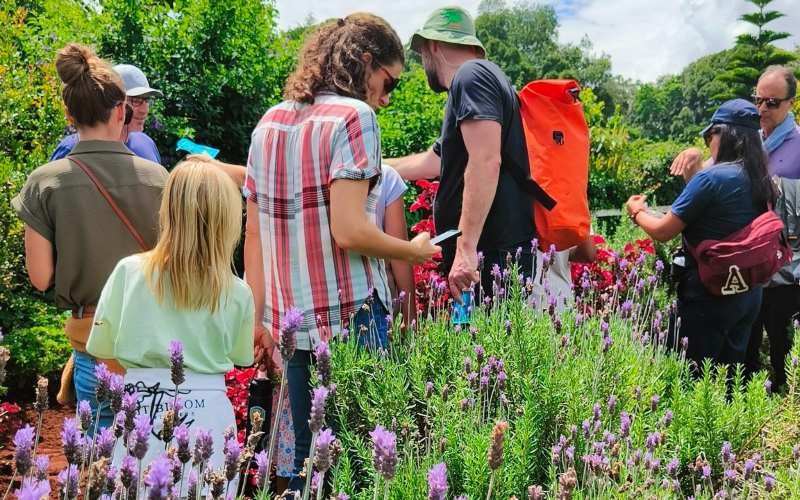 Tigoni Botanical Garden & Wellness Walk